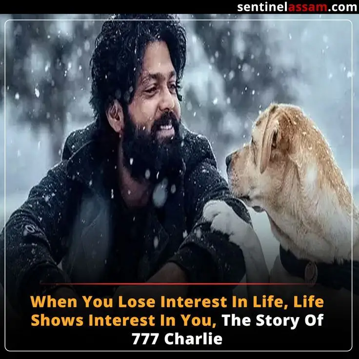 charlie dog real story