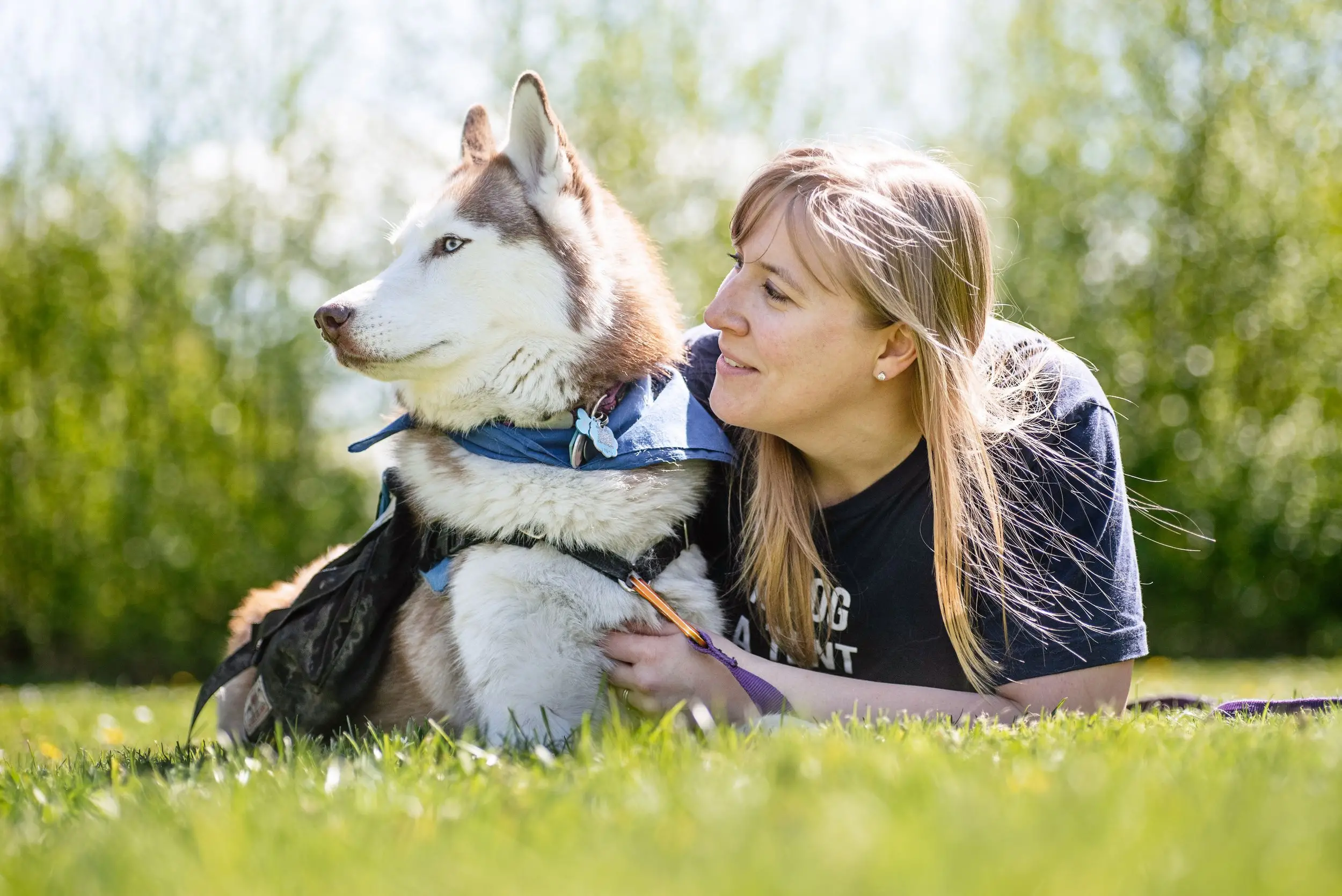 The Power of Dog Unconditional Love Why They Make the Best Companions