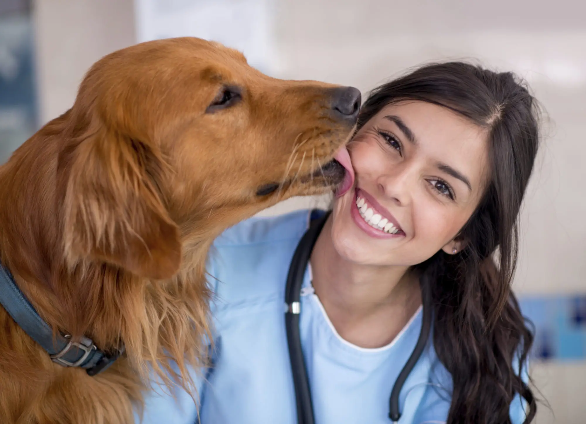 Discover Heartwarming Dog Licking Stories That Will Make You Smile