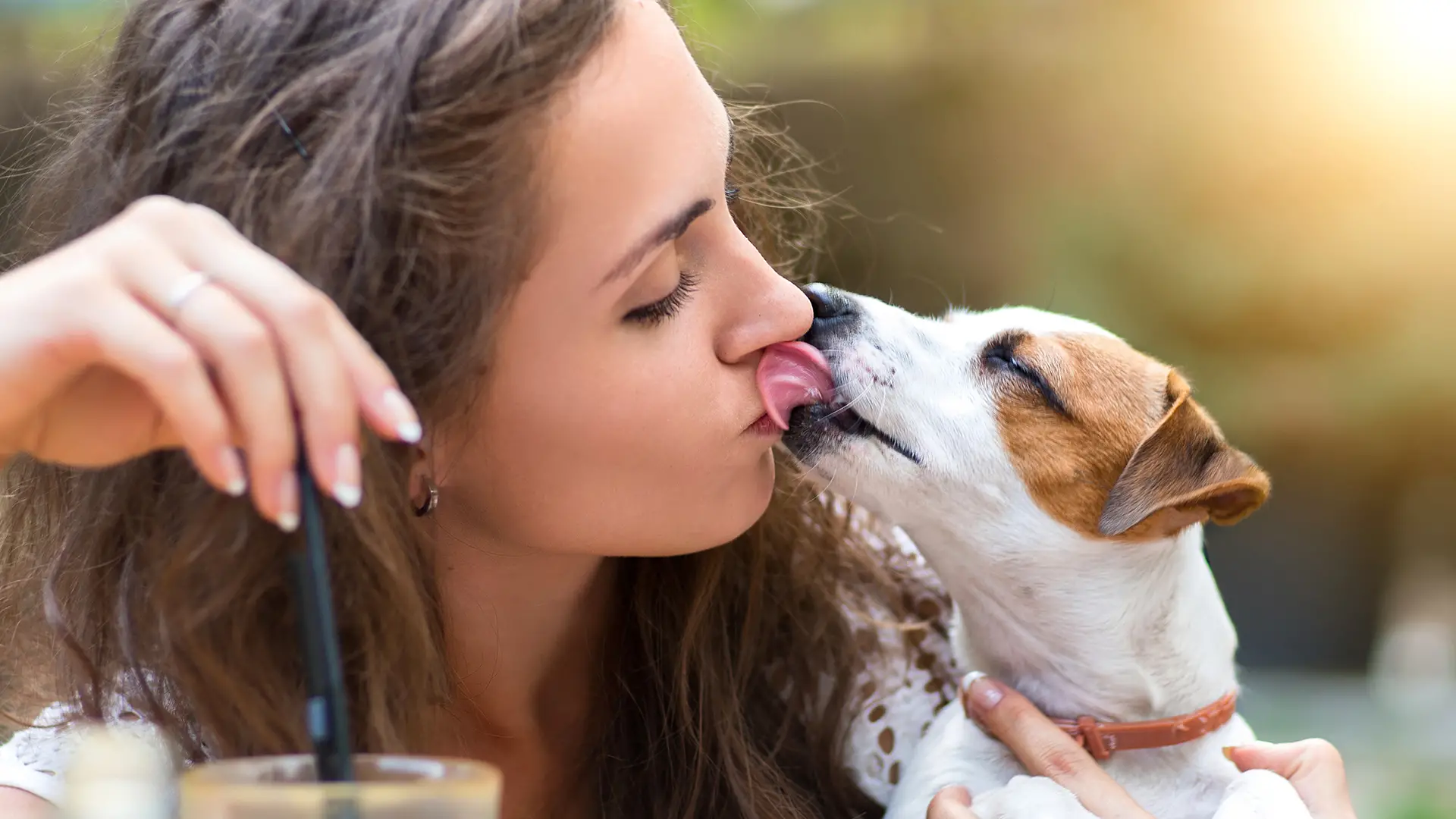 Discover Heartwarming Dog Licking Stories That Will Make You Smile