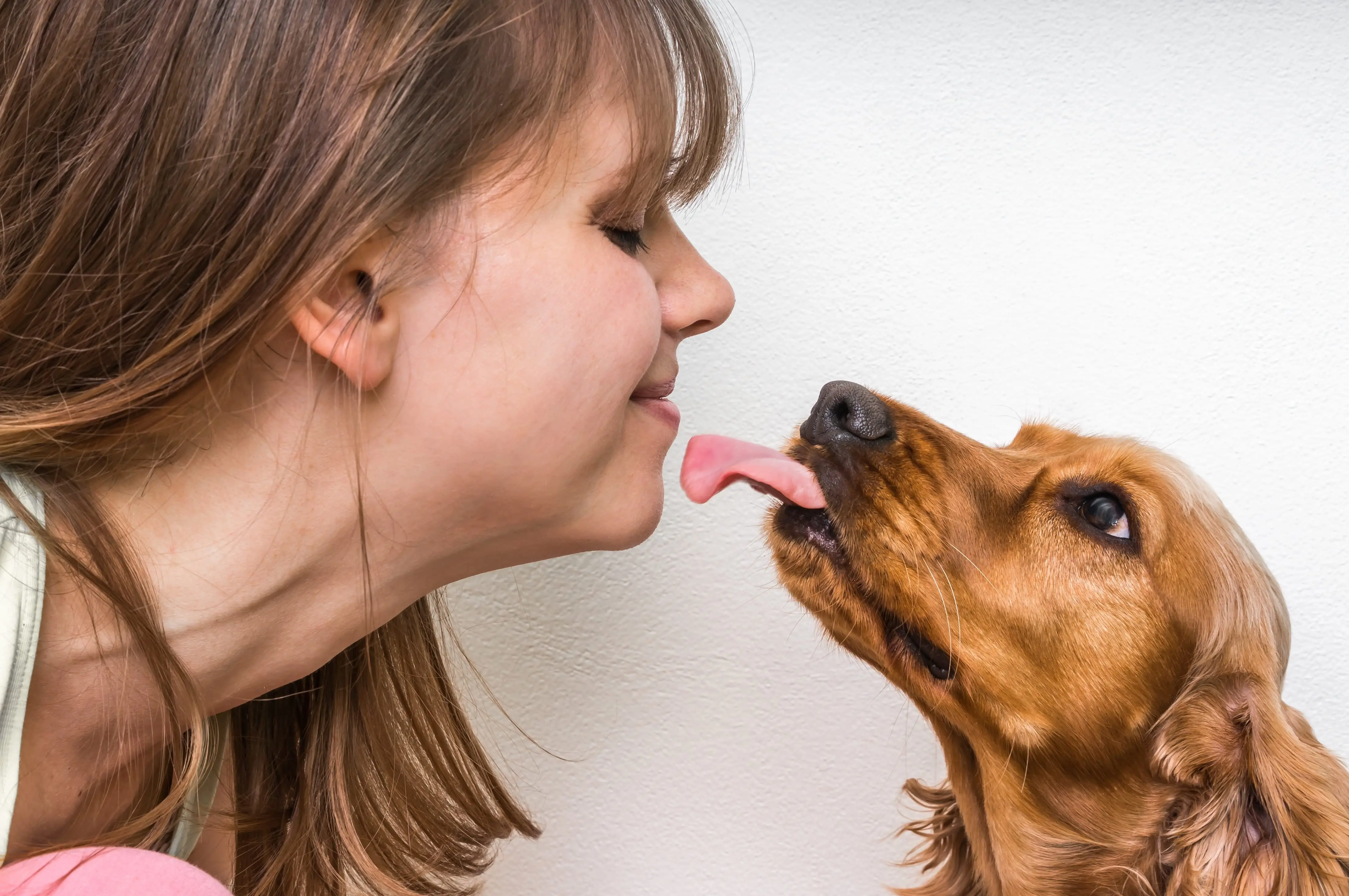 Discover Heartwarming Dog Licking Stories That Will Make You Smile