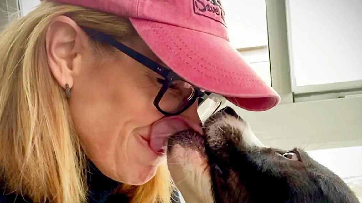 Discover Heartwarming Dog Licking Stories That Will Make You Smile