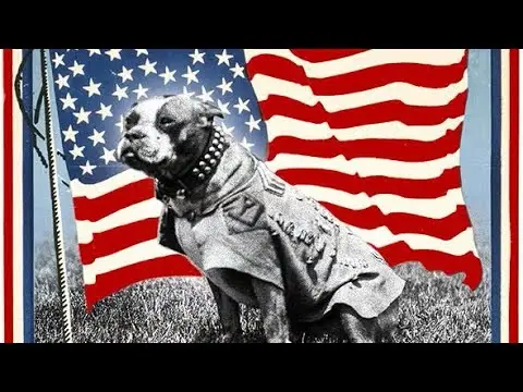 The True Story of a Warrior Dog A Tale of Courage and Loyalty