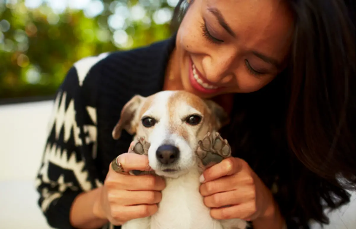 The Impact of Women and Dog Stories on Society Exploring the Connection and Empowerment