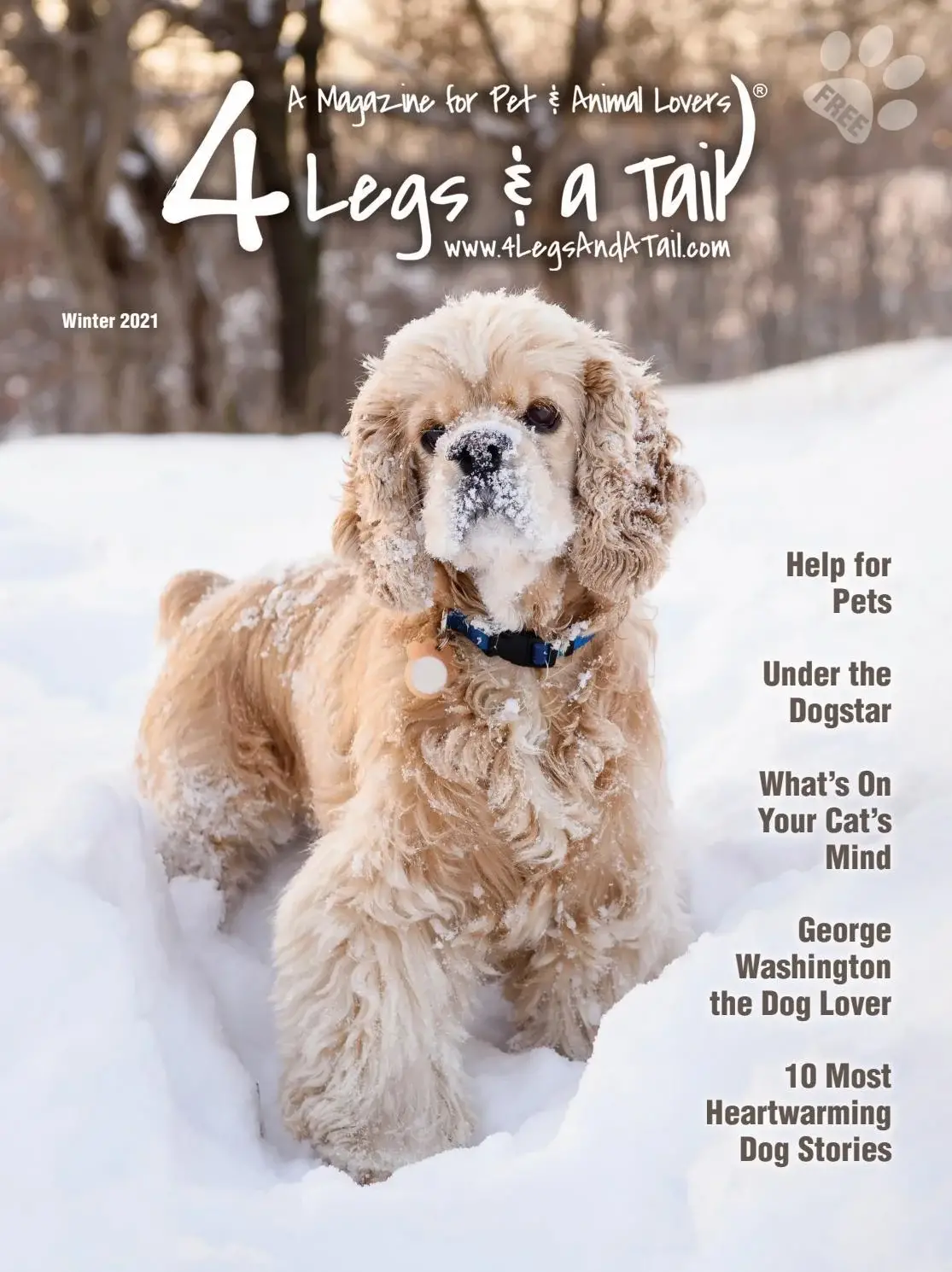 Heartwarming Dog Stories A Collection of Tales That Will Melt Your Heart