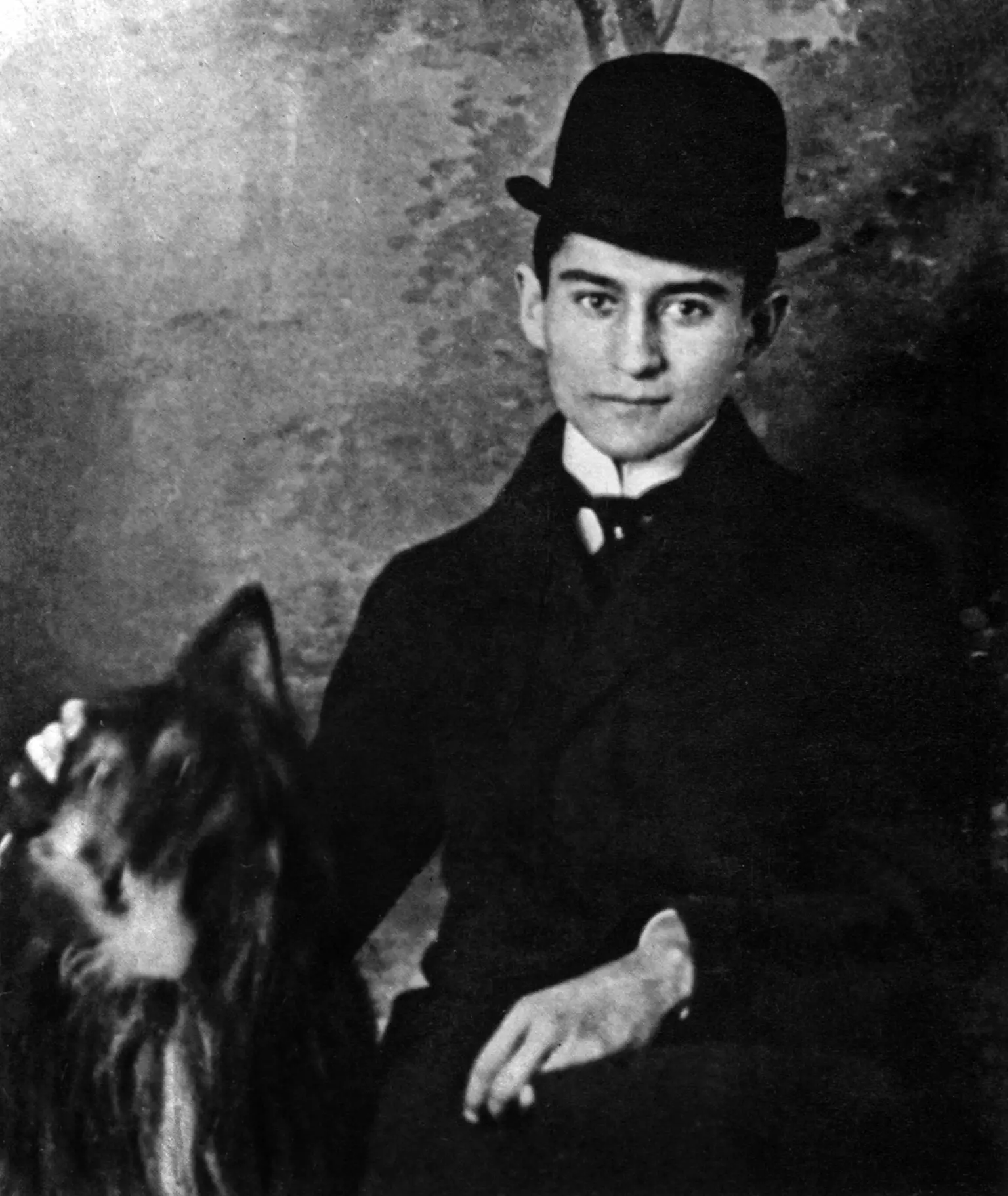 Uncovering the Truth An In-Depth Look into Kafka's 'Investigations of a Dog'