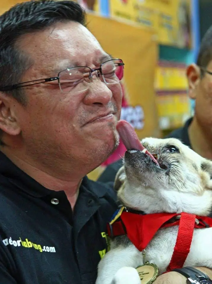 The Incredible Story of Kabang The Hero Dog Who Stole Hearts Around the World