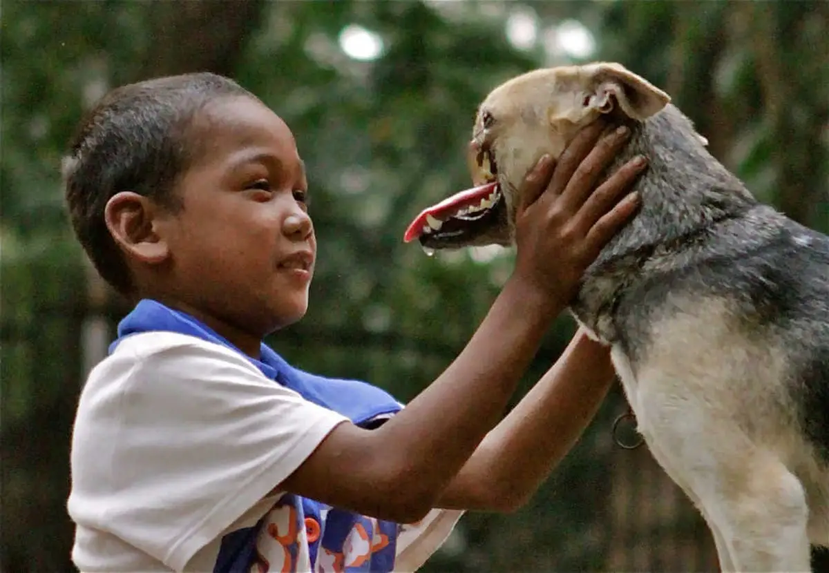 The Incredible True Story of Kabang the Hero Dog