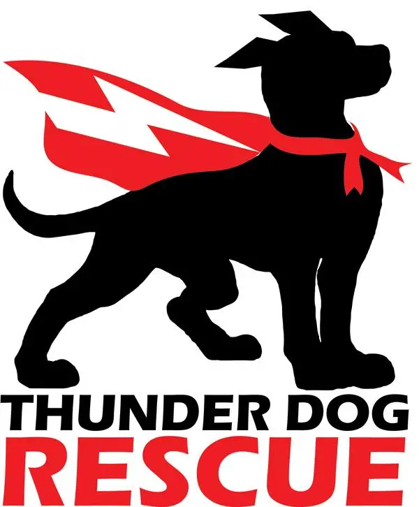 How Thunder Dog Rescue is Making a Difference for Forgotten Canines