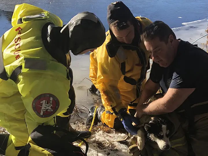 How Thunder Dog Rescue is Making a Difference for Forgotten Canines