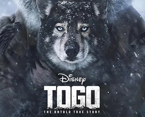 The Incredible Story of Balto and Togo A Tale of Heroism and Perseverance