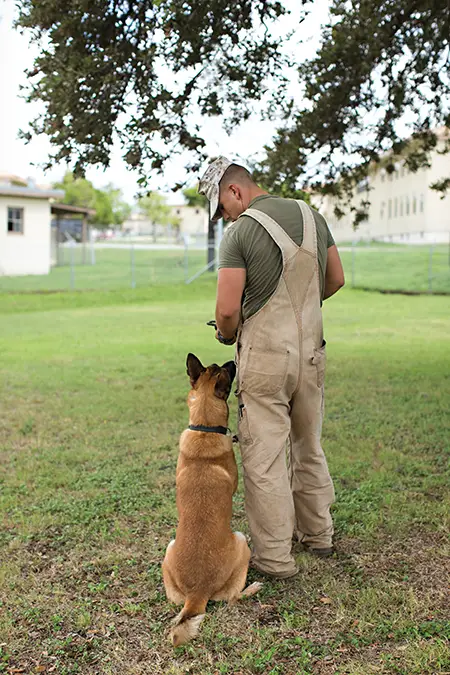 The Incredible Bond Between a Soldier and His Dog