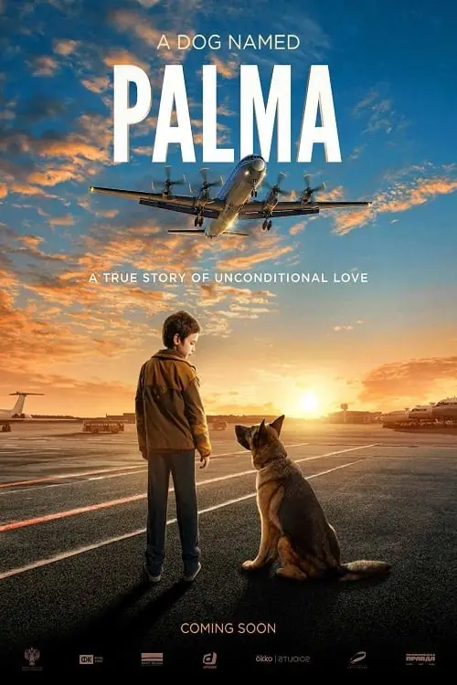 The Heartwarming Real Story of Palma the Dog