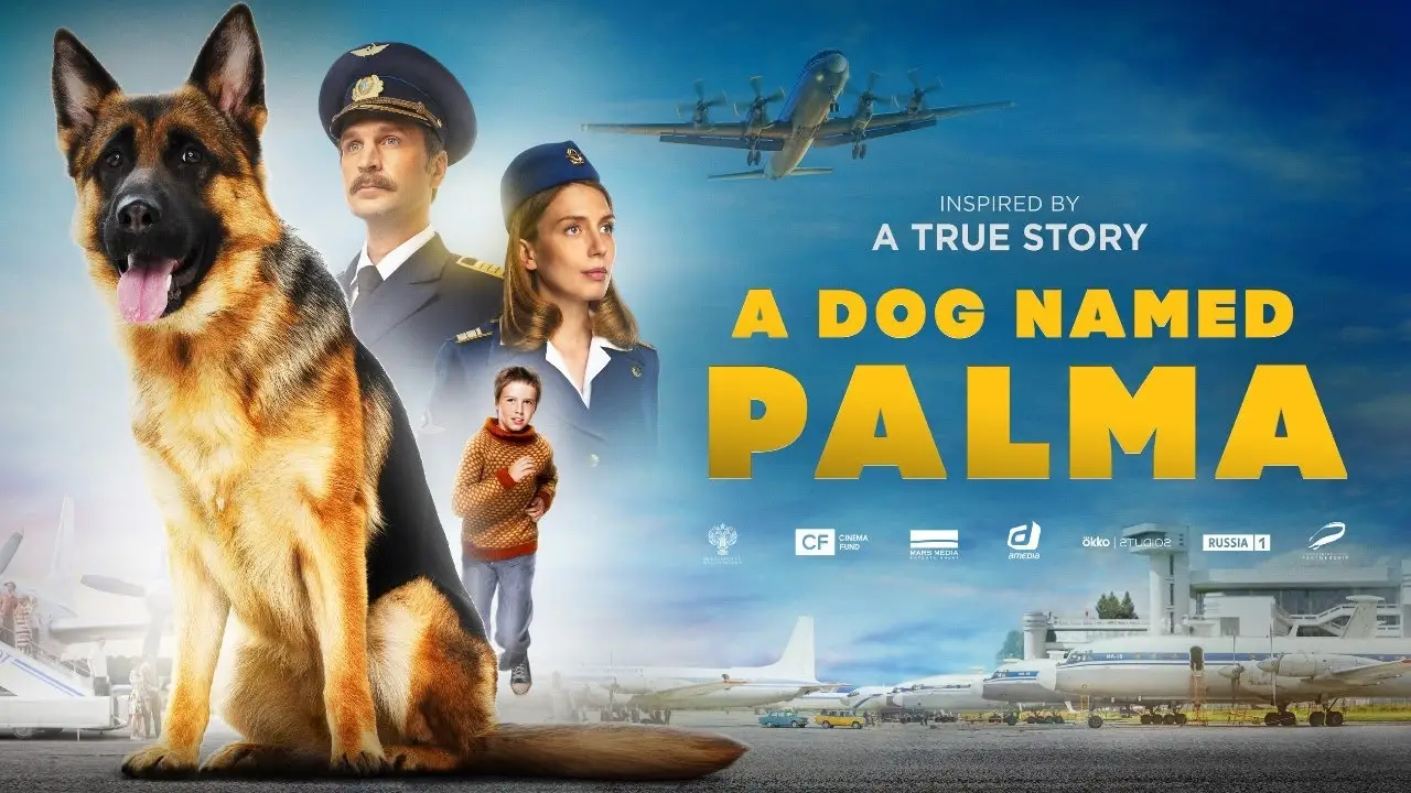 The Heartwarming Real Story of Palma the Dog