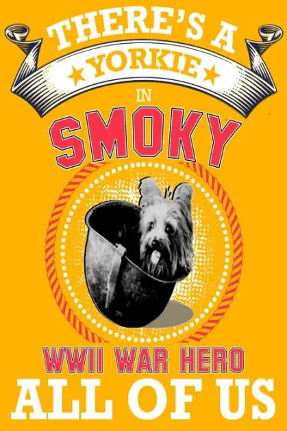 The History of Smoky, the Yorkshire Terrier War Dog