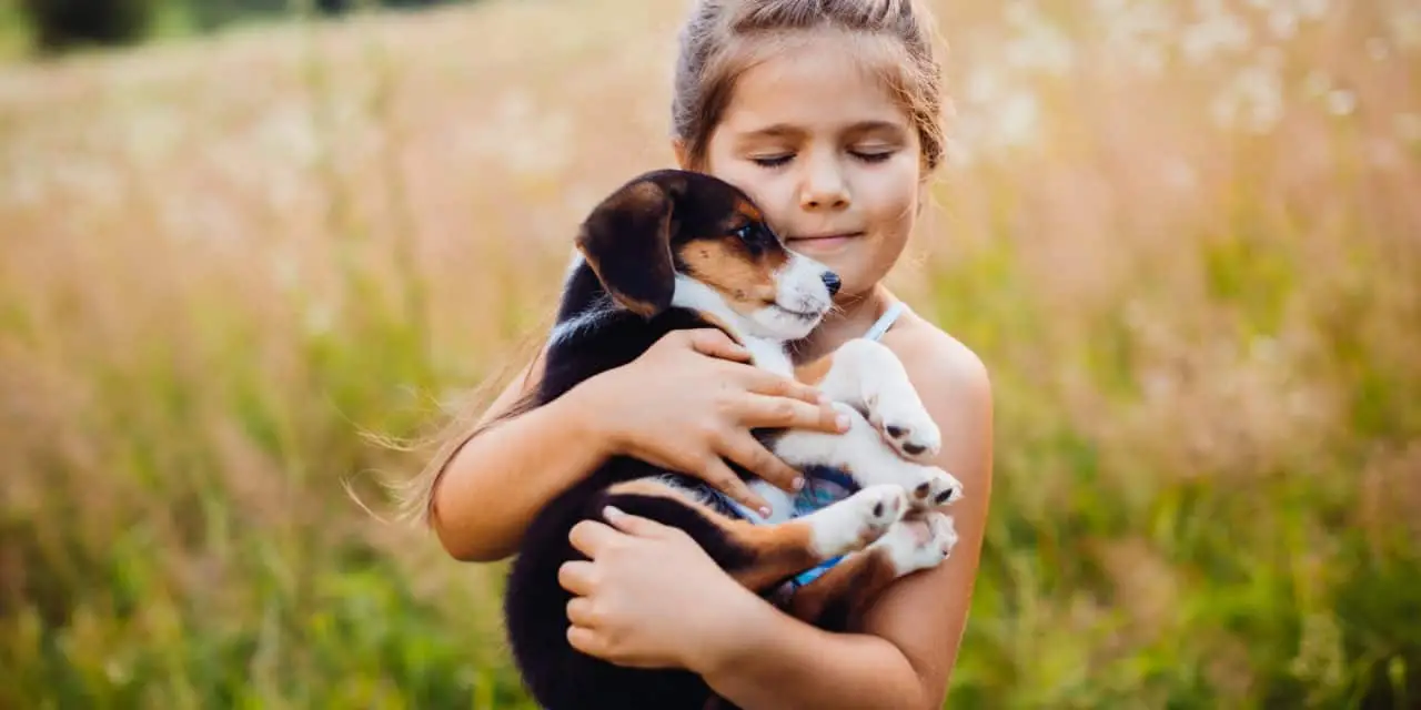 Discovering Unconditional Love A Short Story About a Puppy