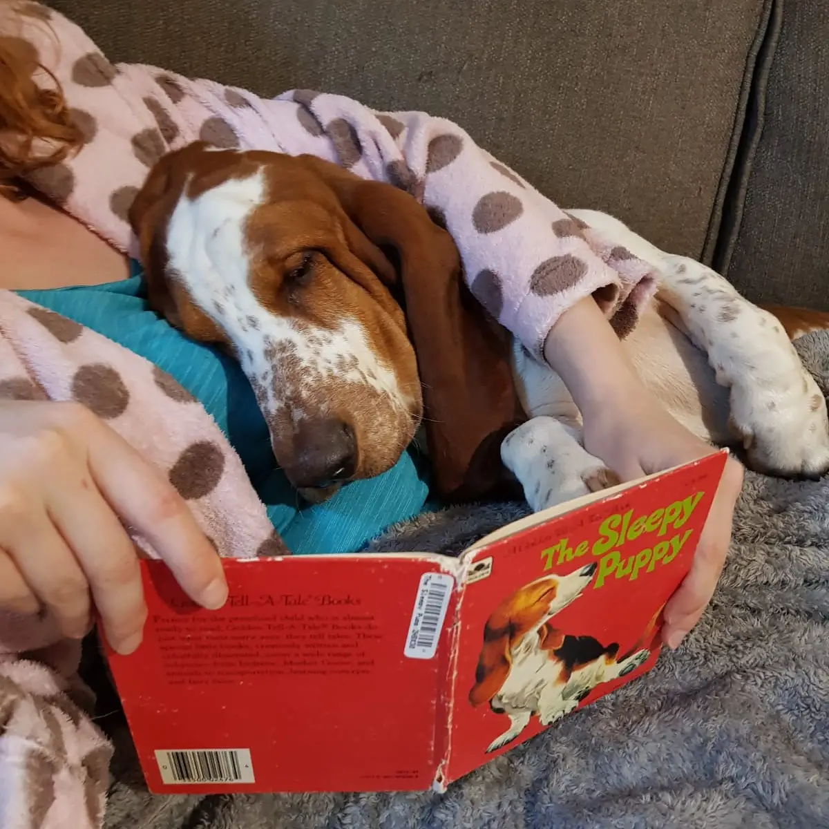 10 Adorable Puppy Bedtime Stories for a Good Night's Sleep