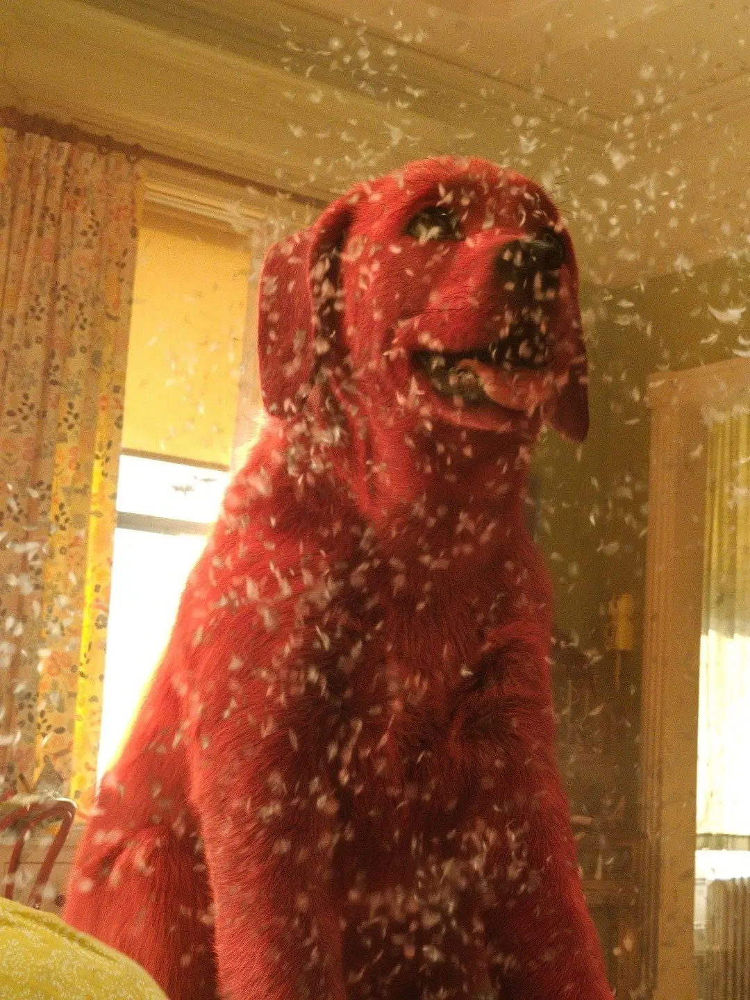 The Heartwarming Red Dog Story A Tale of Love and Loyalty