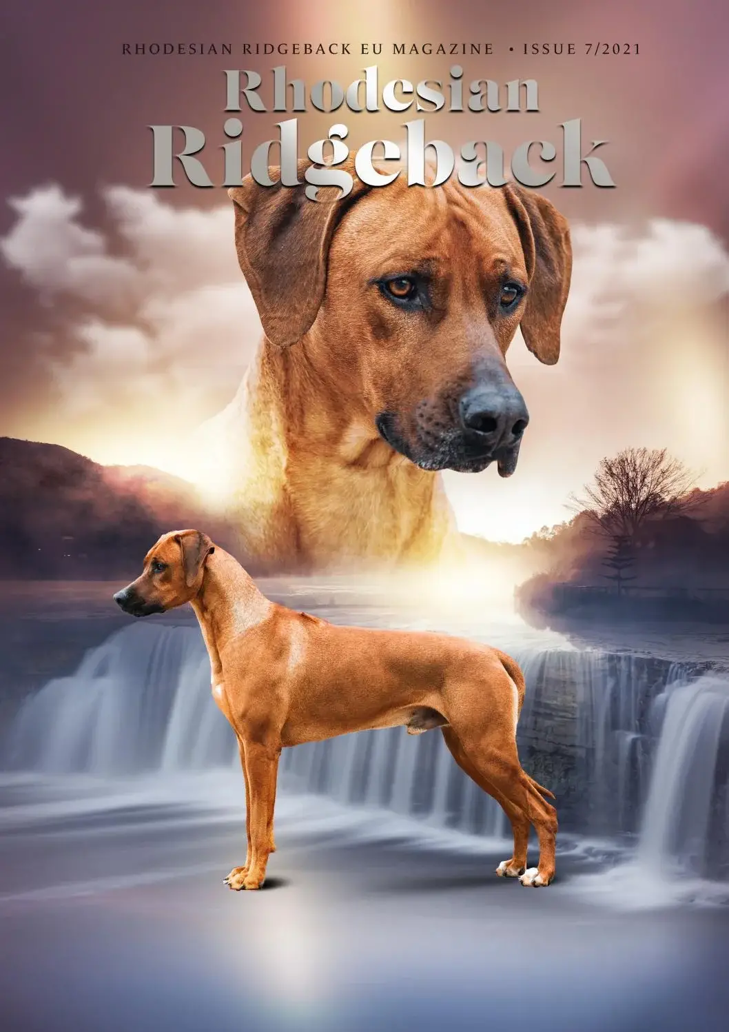 Discover the Incredible Stories of Rhodesian Ridgeback Guard Dogs