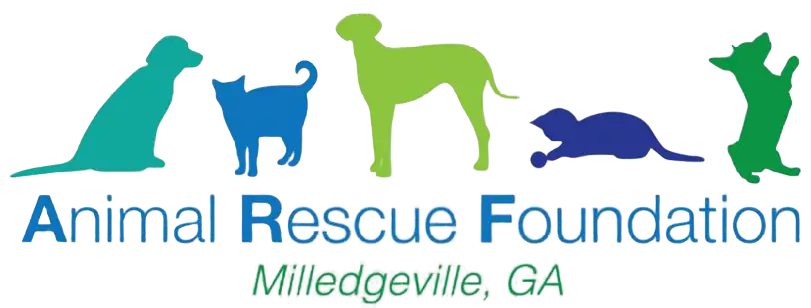 Animal Rescue Organizations Compassionate Guardians of Animal Welfare