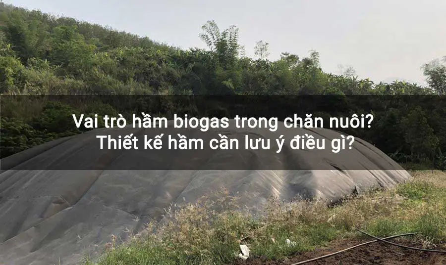 Hầm Biogas Composite Giải pháp xanh cho năng lượng sạch và môi trường bền vững