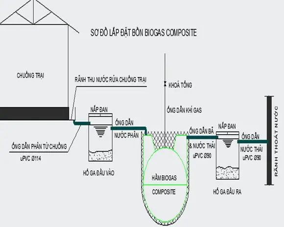 Hầm biogas trong chăn nuôi