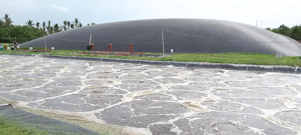 Hầm biogas trong chăn nuôi