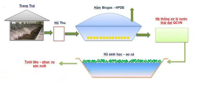 Hầm biogas trong chăn nuôi