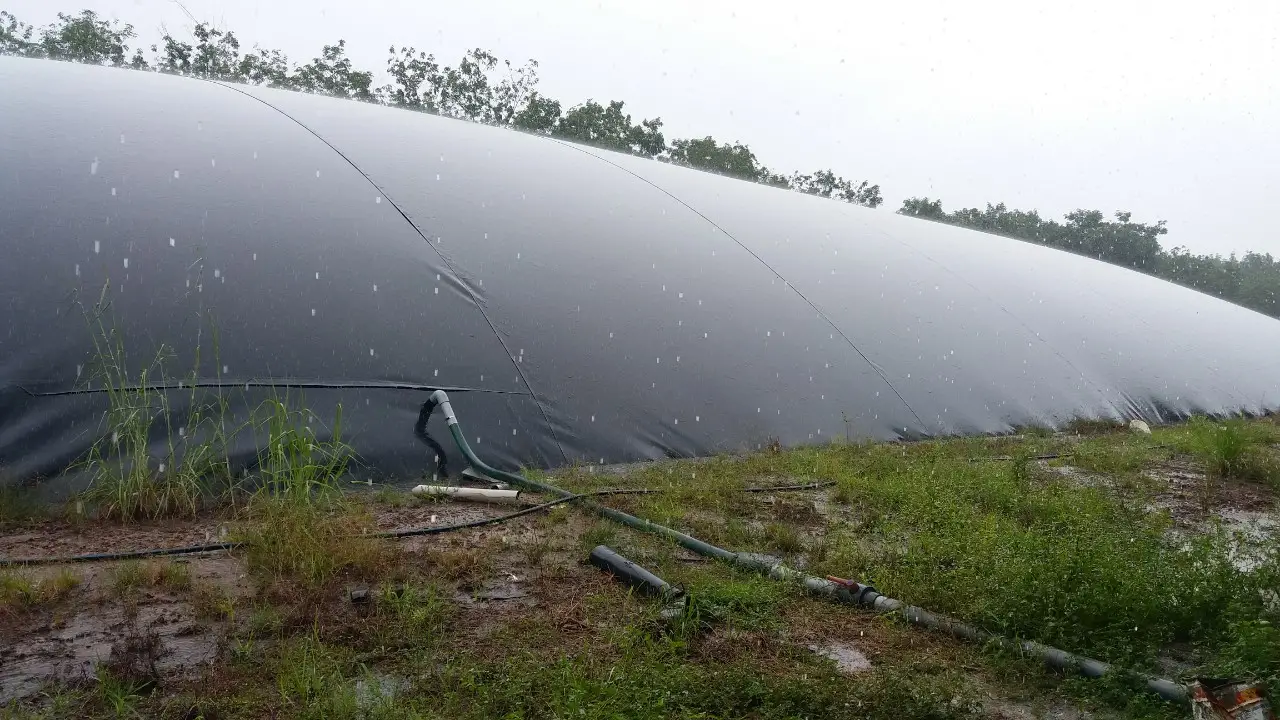 Hầm biogas trong chăn nuôi