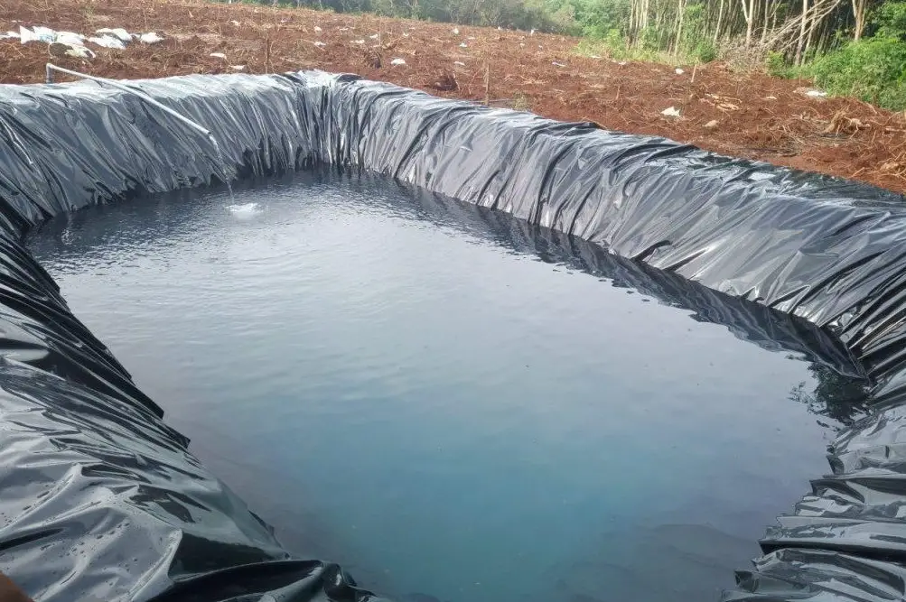 Màng Lót Ao Hồ - Khơi Nguồn Sức Sống Cho Ngành Nuôi Thủy Sản