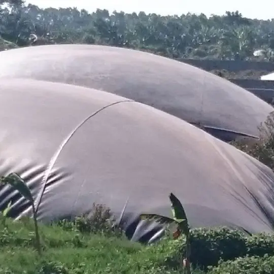 Hố Biogas Khai Thác Tiềm Năng và Rủi Ro