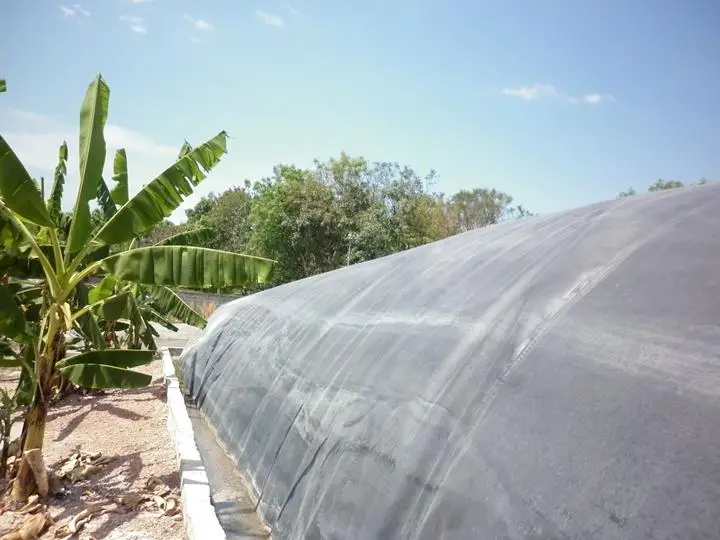 Hố Biogas Khai Thác Tiềm Năng và Rủi Ro