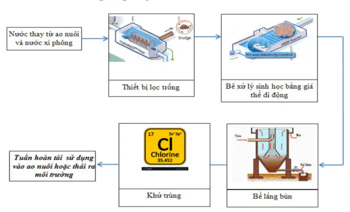 Sơ Đồ Hầm Biogas - Giải Pháp Năng Lượng Xanh Và Quản Lý Chất Thải Hiệu Quả
