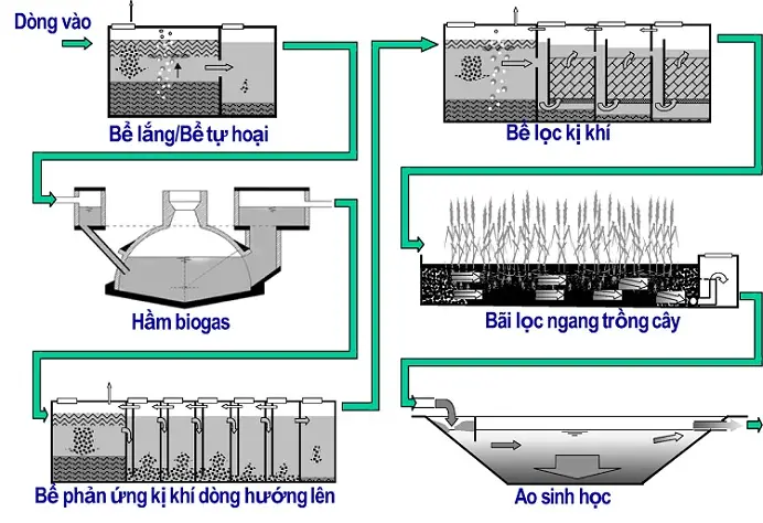 Sơ Đồ Hầm Biogas - Giải Pháp Năng Lượng Xanh Và Quản Lý Chất Thải Hiệu Quả