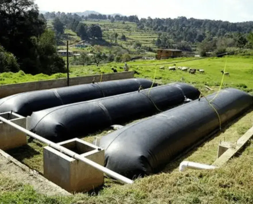 Khám Phá Thế Giới Bể Bioga Hiểu Rõ Giá Trị Và Giá Tiền Bể Bioga