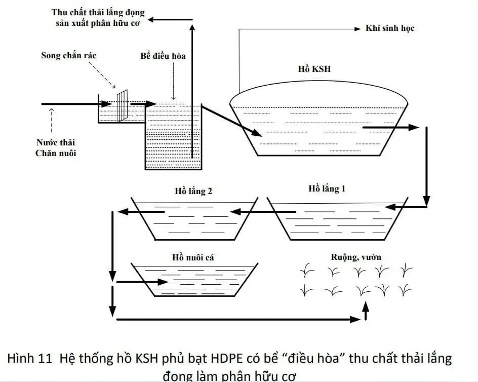 Hầm biogas giá bao nhiêu - Tìm hiểu chi phí và lợi ích của hầm biogas