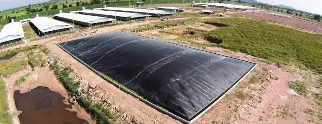 Tấm Bạt HDPE - Giải Pháp Toàn Diện Cho Xây Dựng & Nông Nghiệp