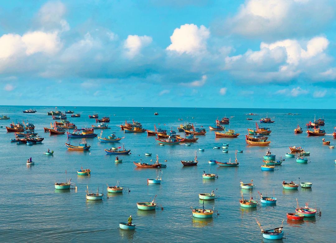 Tỉnh / thành Phan Thiết