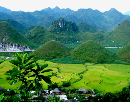 Tỉnh / thành Quản Bạ