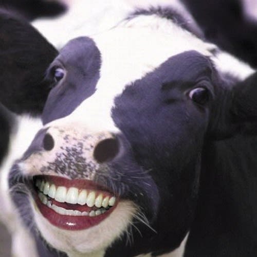 img_01JG146ZERQJMGFQ29J38EGJXG