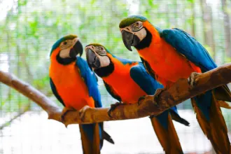 Bird Park | Water World