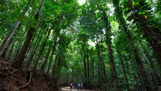 Udawatta Kele Sanctuary