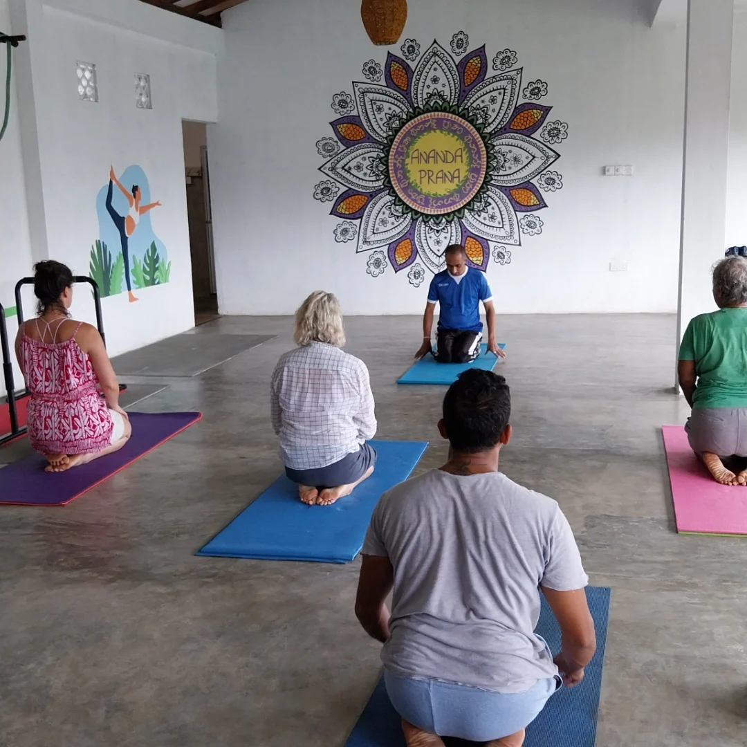 Ananda Prana Yoga and Apartments thumbnail 2
