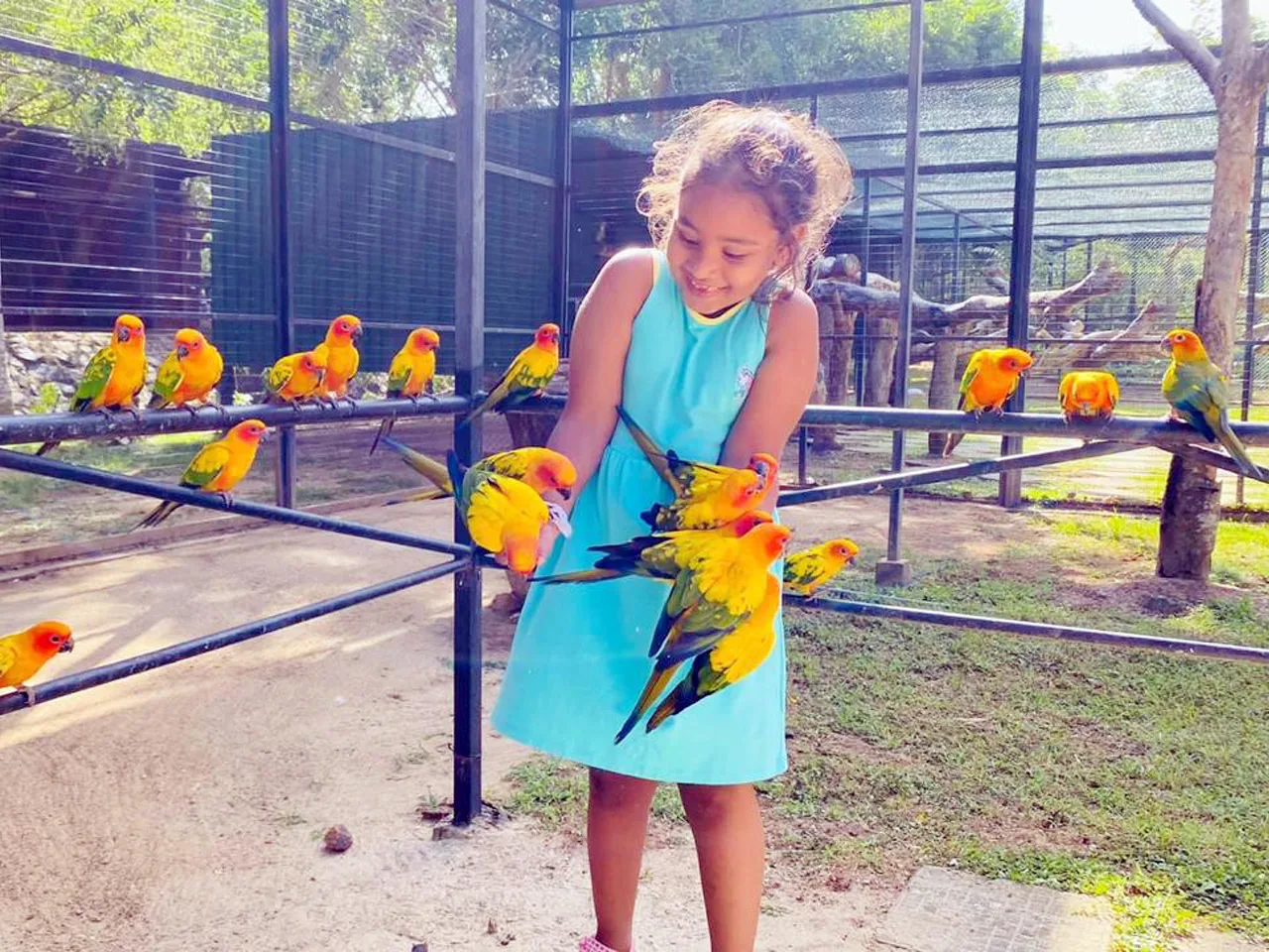 Birds Resort - Birds park Hambantota thumbnail 4