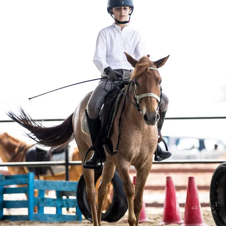 Ceylon Riding Club thumbnail 2