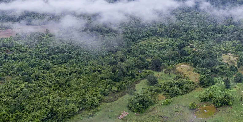 Dunumadalawa Forest Reserve thumbnail 3