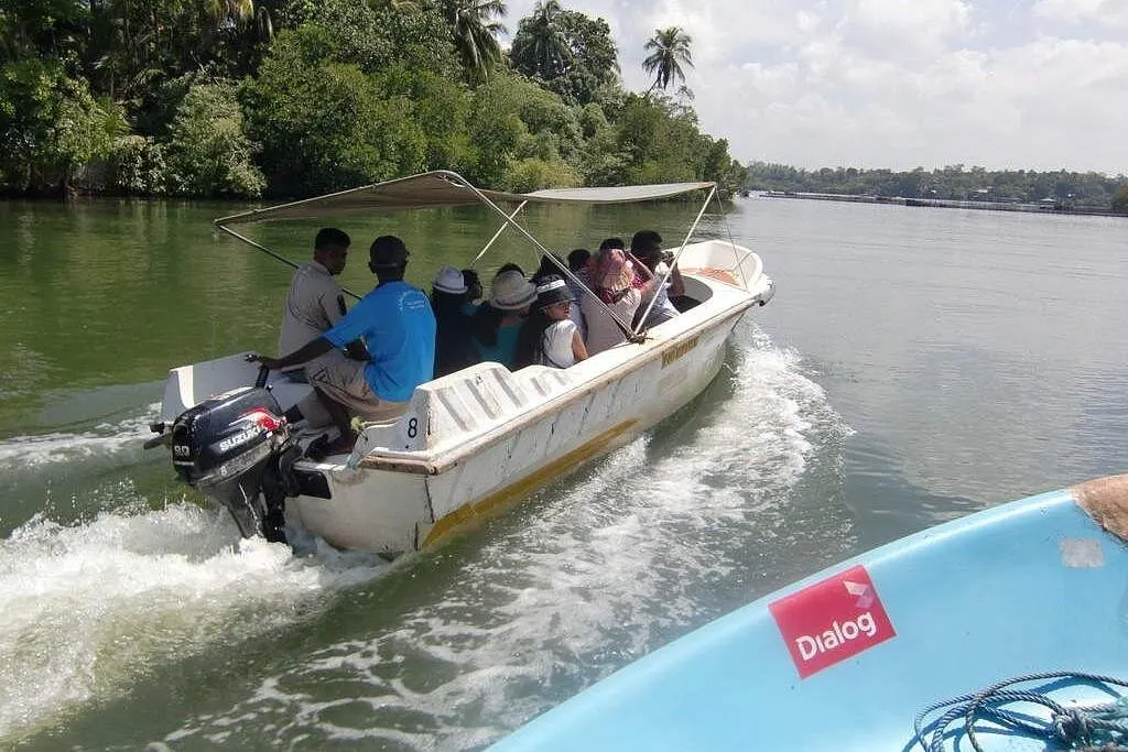 Madu Ganga Mangrove Boat Safari thumbnail 2
