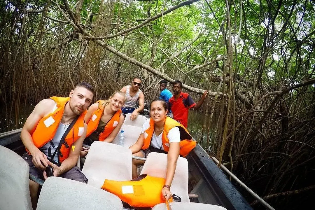 Madu Ganga Mangrove Boat Safari thumbnail 3