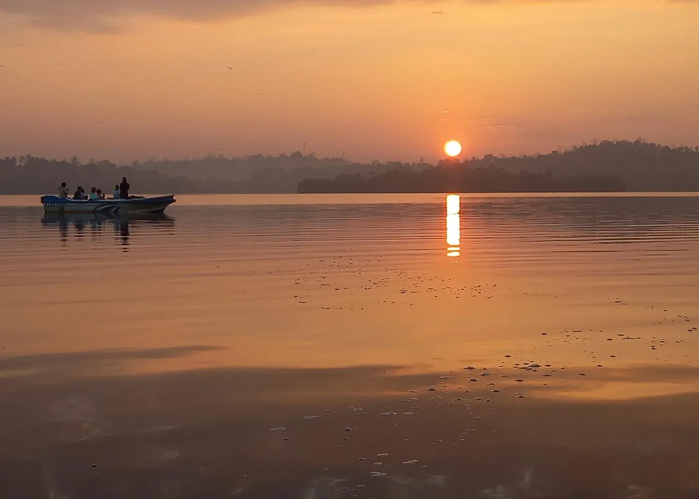 Madu Ganga Mangrove Boat Safari thumbnail 5