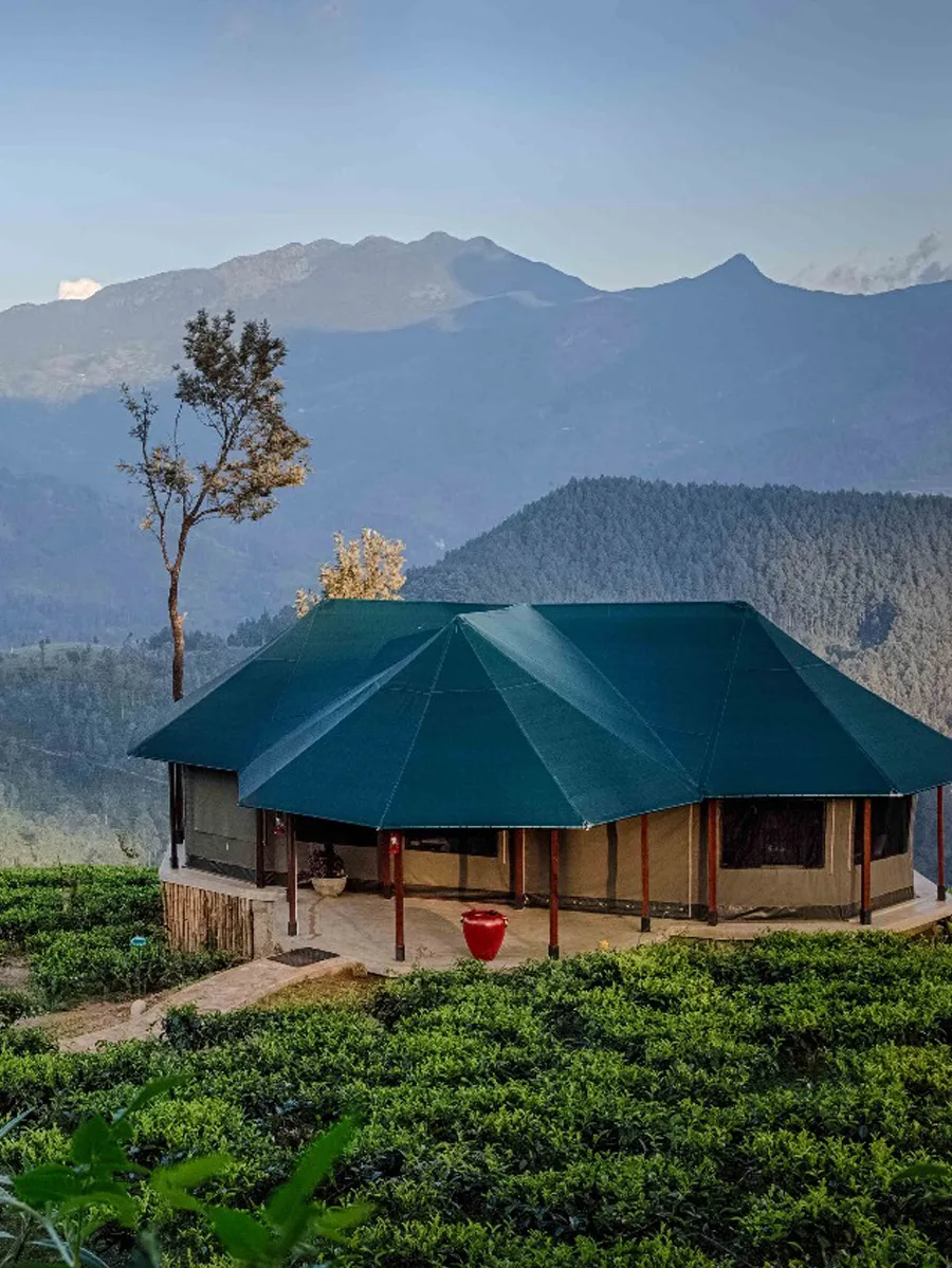 Madulkelle Tea and Eco Lodge thumbnail 2